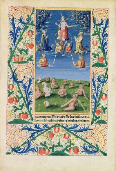 Ms Lat. Q.v.I.126 f.78v Opstanding van de geredden, uit het 